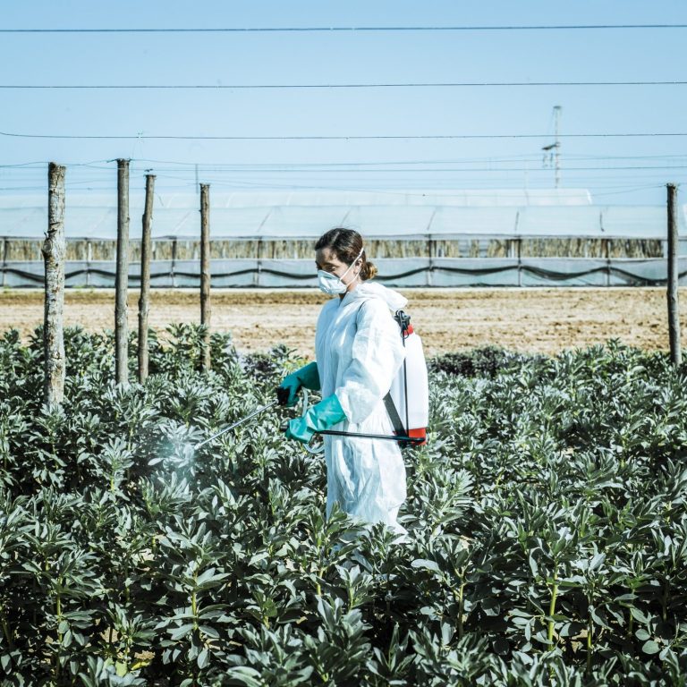 Person in protective gear spraying plants in a field under clear blue sky.
